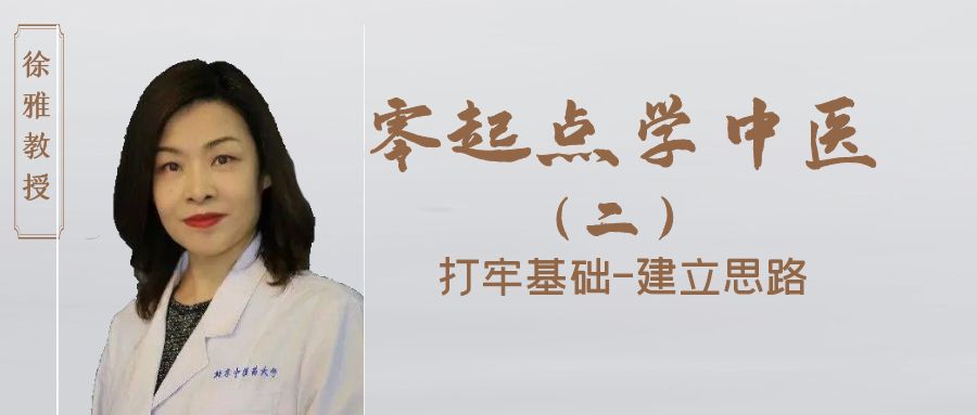徐雅：零起点中医训练营 丨 打牢基础，建立思维（二）